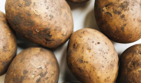 Subvention pour soutenir les producteurs de pommes de terre